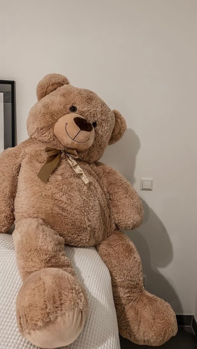 Large Soft Toys